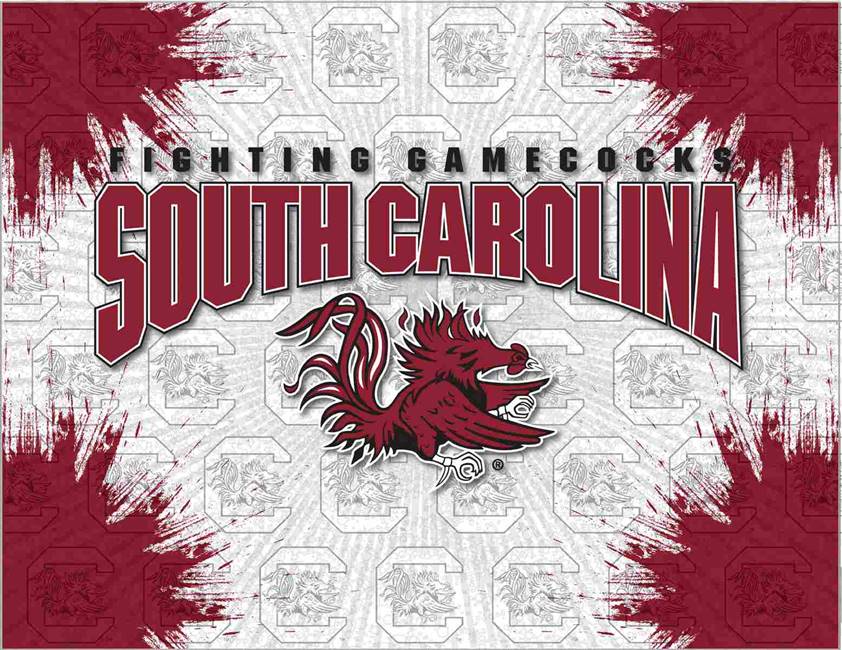 Uofsc Graphics University of South Carolina 24x32 Canvas Wall Art